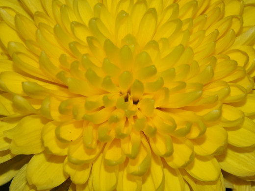 430184 (a): :1600x1200